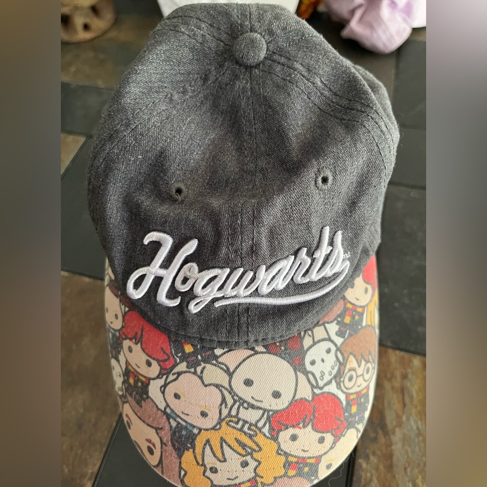 Warner Bros. Harry Potter Gray Cap